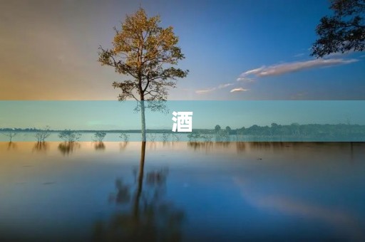 酒,让我们醉心于生活 酒,让我们醉心于生活