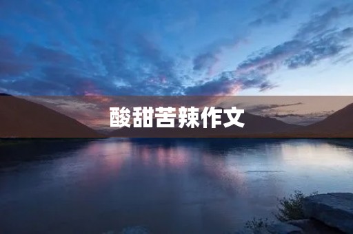 酸甜苦辣作文