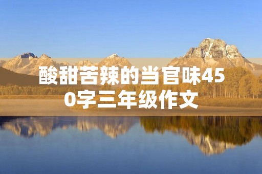 酸甜苦辣的当官味450字三年级作文 酸甜苦辣的当官味450字三年级作文