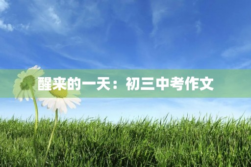 醒来的一天:初三中考作文 醒来的一天:初三中考作文