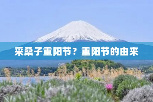 采桑子重阳节?重阳节的由来 采桑子重阳节?重阳节的由来