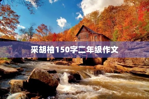 采胡柚150字二年级作文