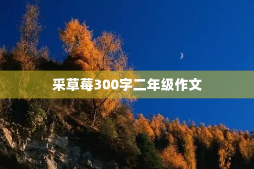 采草莓300字二年级作文