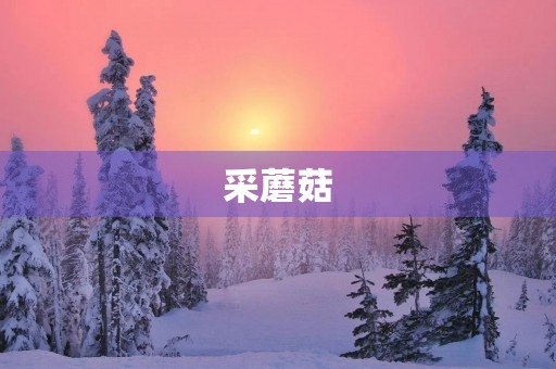 采蘑菇,寻找大自然的美好 采蘑菇,寻找大自然的美好