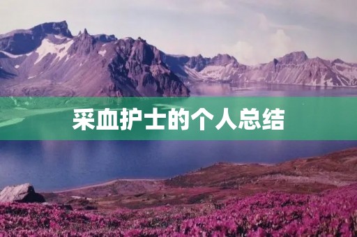 采血护士的个人总结