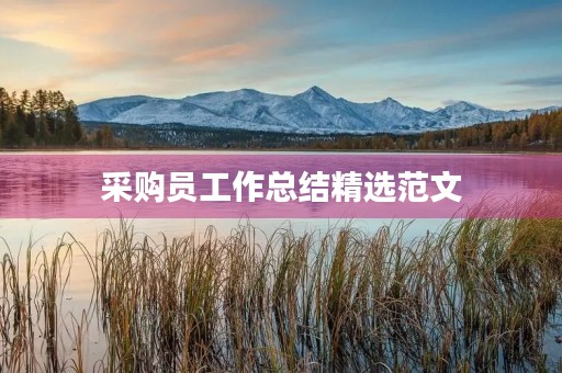采购员工作总结精选范文 采购员工作总结精选范文