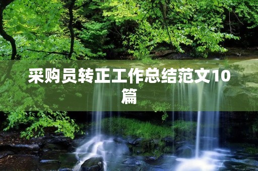 采购员转正工作总结范文10篇