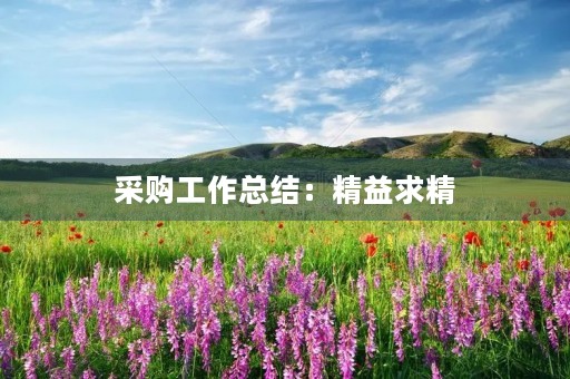 采购工作总结：精益求精，不断创新，提升采购效率