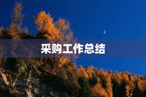 采购工作总结