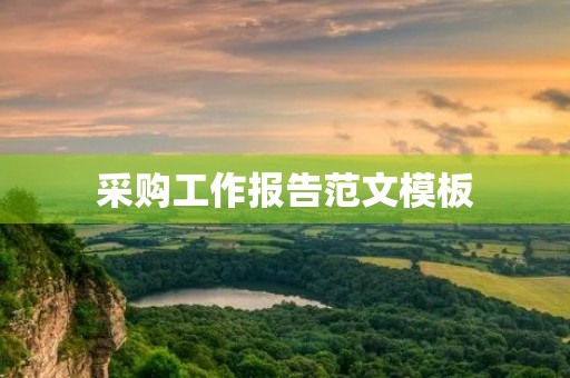 采购工作报告范文模板