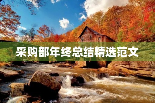 采购部年终总结精选范文