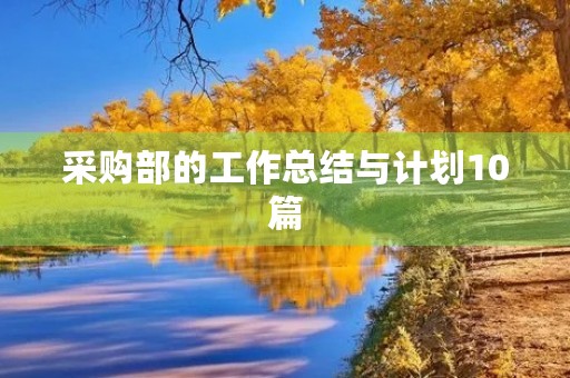 采购部的工作总结与计划10篇