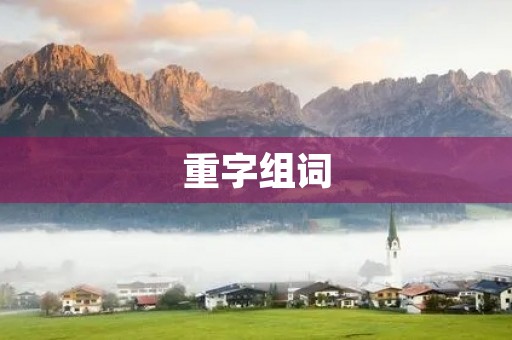 重字组词(重组词)
