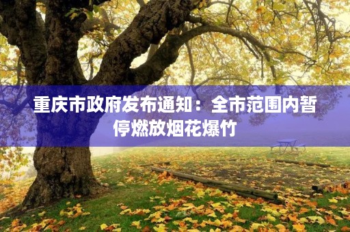 重庆市政府发布通知:全市范围内暂停燃放烟花爆竹 重庆市政府发布通知:全市范围内暂停燃放烟花爆竹