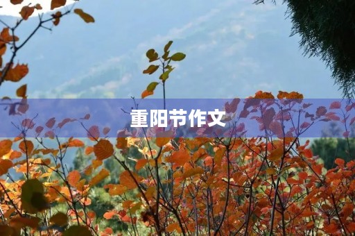 重阳节作文
