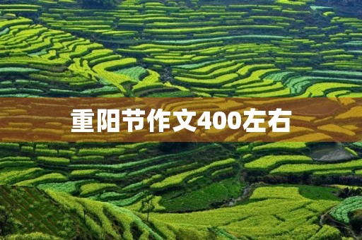 重阳节作文400左右 重阳节作文400左右