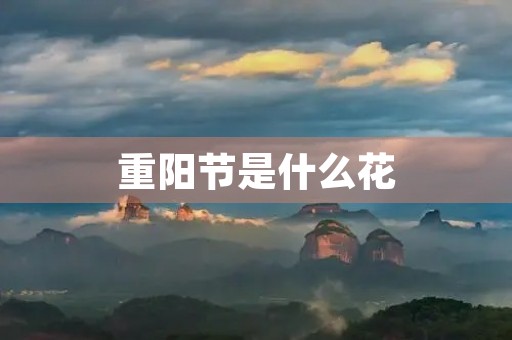 重阳节是什么花，重阳节另一个名称叫什么