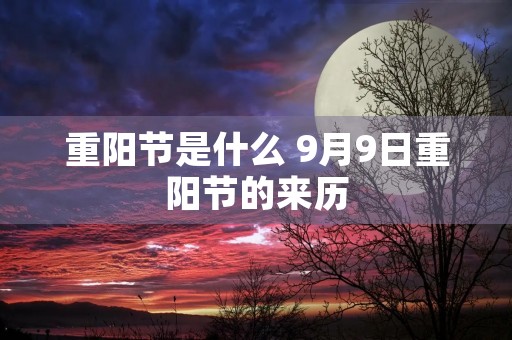 重阳节是什么 9月9日重阳节的来历