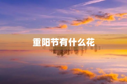 重阳节有什么花，象征重阳节的花