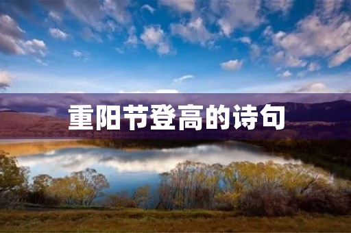 重阳节登高的诗句