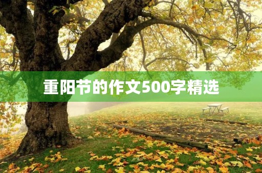 重阳节的作文500字精选 重阳节的作文500字精选