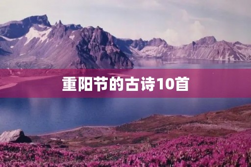 重阳节的古诗10首 重阳节的古诗10首