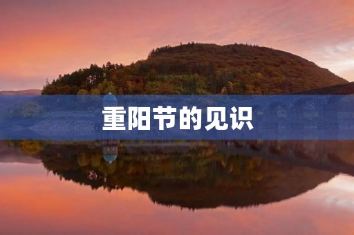 重阳节的见识 重阳节的见识