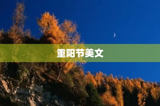 重阳节美文(重阳节经典散文) 重阳节美文(重阳节经典散文)