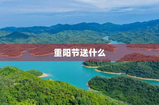 重阳节送什么,重阳节十大礼物 重阳节送什么,重阳节十大礼物