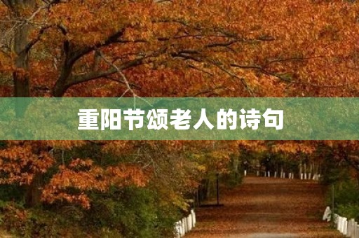 重阳节颂老人的诗句 重阳节颂老人的诗句