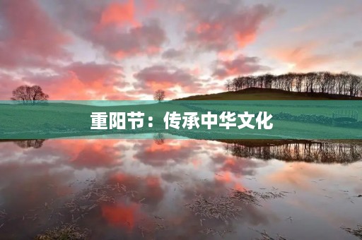 重阳节:传承中华文化,弘扬敬老精神 重阳节:传承中华文化,弘扬敬老精神