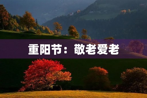 重阳节：敬老爱老，传承中华文化