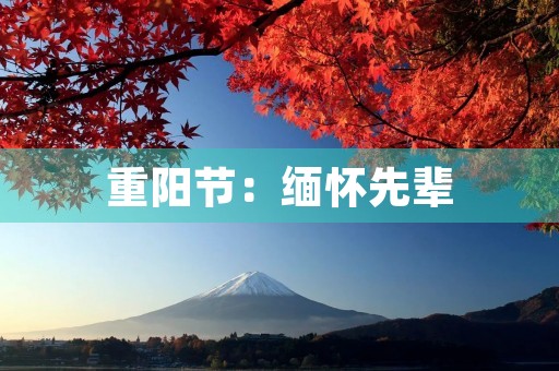 重阳节：缅怀先辈，表达敬意