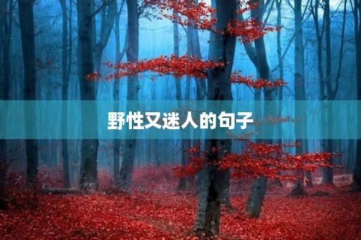 野性又迷人的句子(形容男人野性又迷人的句子)