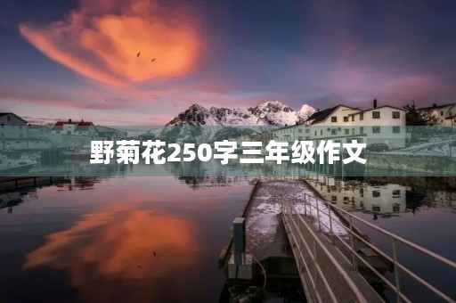 野菊花250字三年级作文 野菊花250字三年级作文
