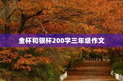 金杯和银杯200字三年级作文