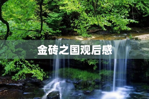 金砖之国观后感