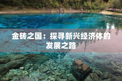 金砖之国:探寻新兴经济体的发展之路 金砖之国:探寻新兴经济体的发展之路