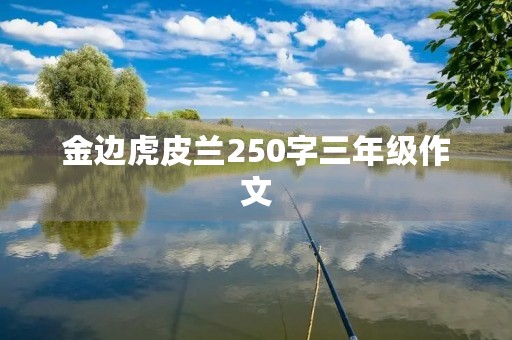 金边虎皮兰250字三年级作文 金边虎皮兰250字三年级作文