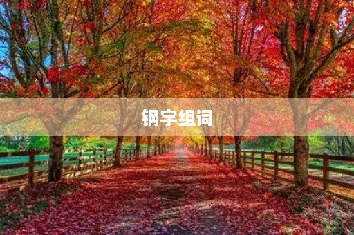 钢字组词(钢组词)