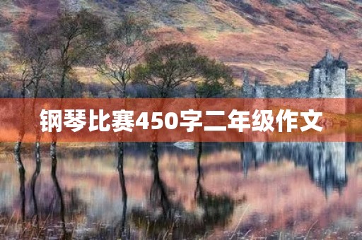 钢琴比赛450字二年级作文