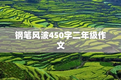 钢笔风波450字二年级作文