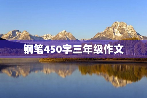 钢笔450字三年级作文 钢笔450字三年级作文