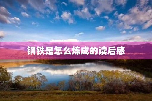 钢铁是怎么炼成的读后感 钢铁是怎么炼成的读后感