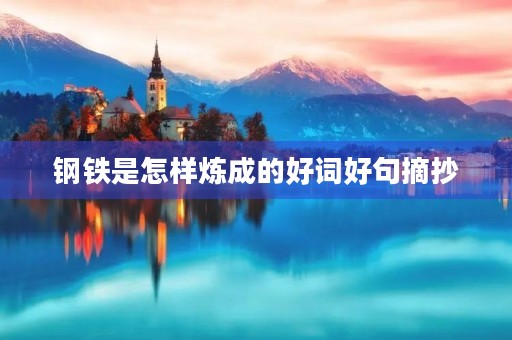 钢铁是怎样炼成的好词好句摘抄(钢铁是怎样炼成的好词好句摘抄大全初中)