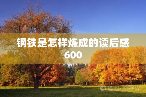 钢铁是怎样炼成的读后感600 钢铁是怎样炼成的读后感600