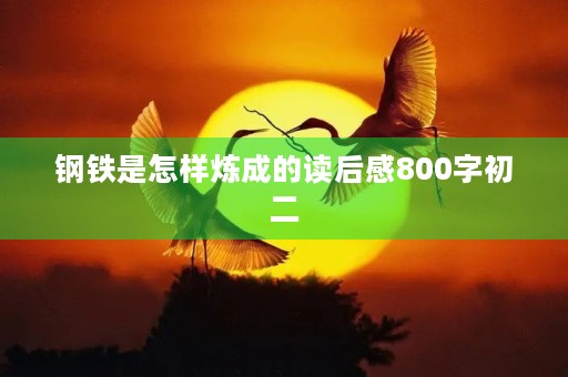 钢铁是怎样炼成的读后感800字初二