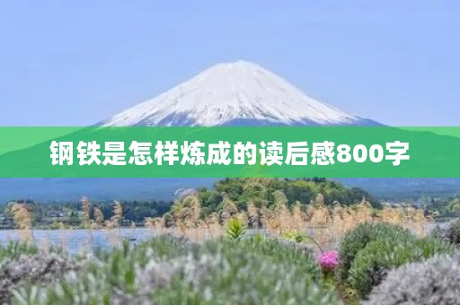 钢铁是怎样炼成的读后感800字 钢铁是怎样炼成的读后感800字
