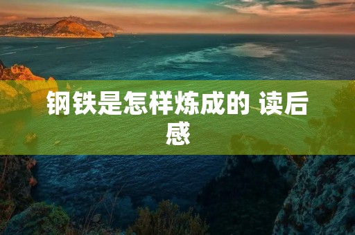 钢铁是怎样炼成的 读后感