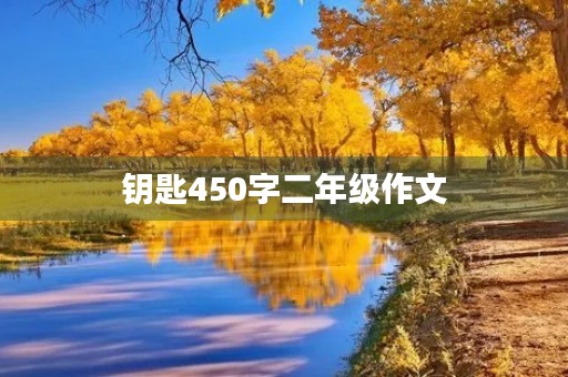 钥匙450字二年级作文